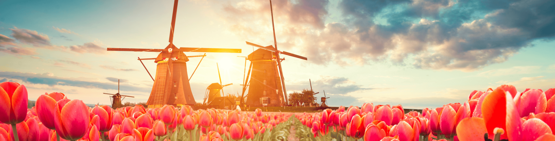 Holanda Florida com Blgica e Frana